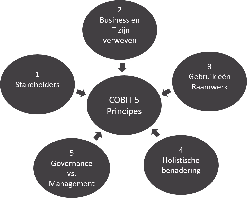 ict cobit5 principes png